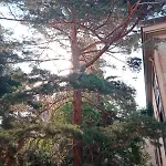 Living Libreros Σαλαμάνκα
