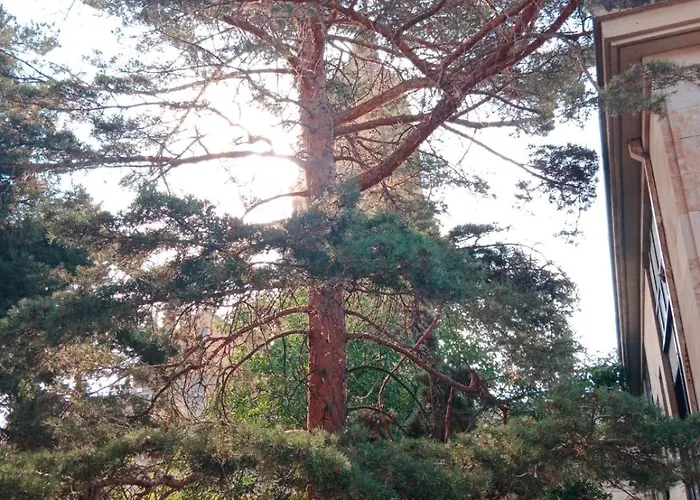 Living Libreros Salamanque
